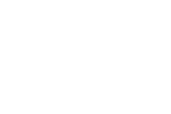 即日発送